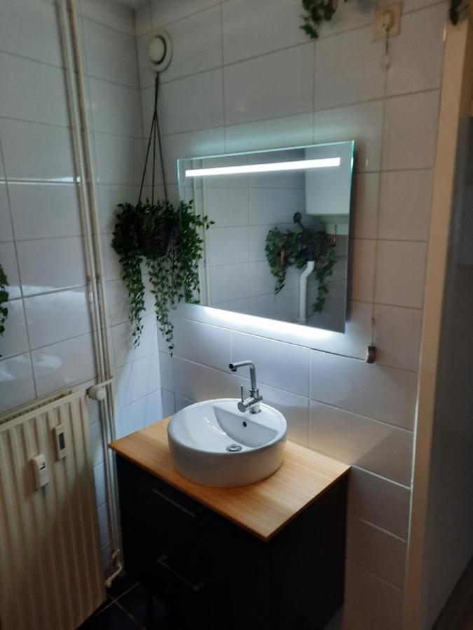 נורדוויק Apartment Duinvos 150M From The Beach מראה חיצוני תמונה