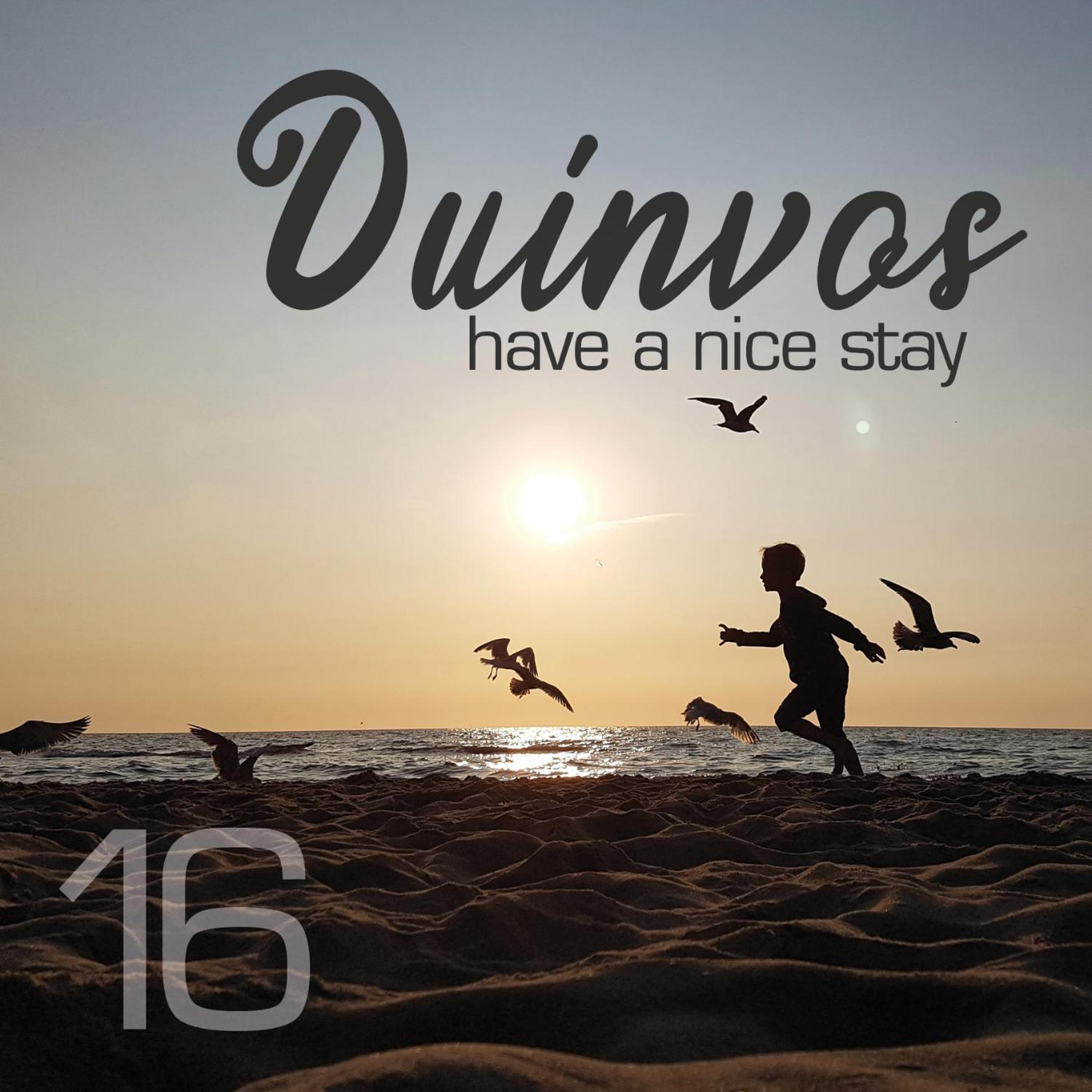 נורדוויק Apartment Duinvos 150M From The Beach מראה חיצוני תמונה